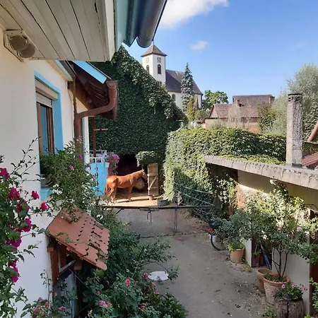 Апартаменты Rosenhof Broggingen