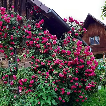 Rosenhof Broggingen Апартаменты *