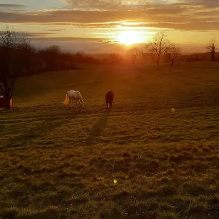Rosenhof Broggingen Апартаменты Хербольцхайм