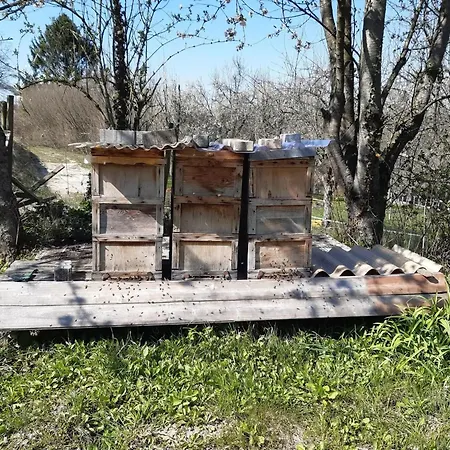 Апартаменты Rosenhof Broggingen Хербольцхайм