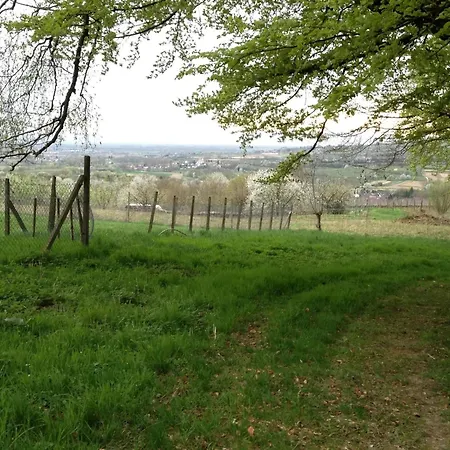 Rosenhof Broggingen *