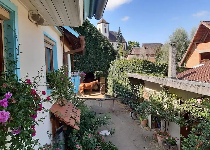 Apartment Rosenhof Broggingen