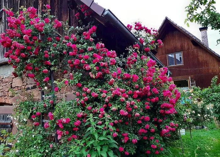 Rosenhof Broggingen Apartment *