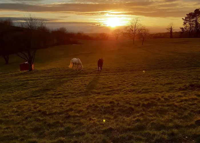 Rosenhof Broggingen Apartment Herbolzheim