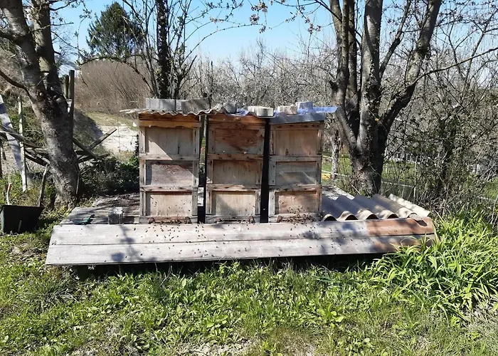 Apartment Rosenhof Broggingen Herbolzheim