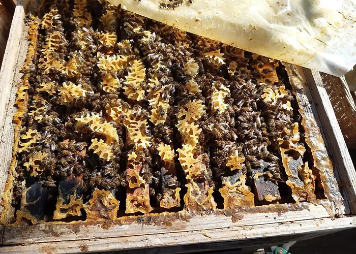 Apartment Rosenhof Broggingen Herbolzheim