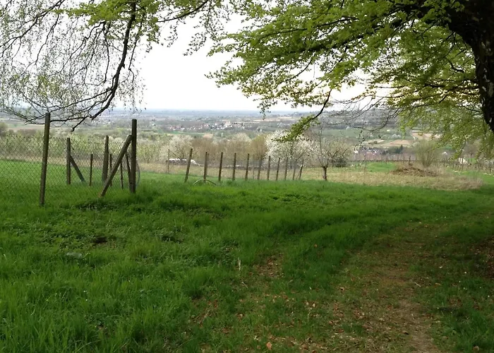 Rosenhof Broggingen *